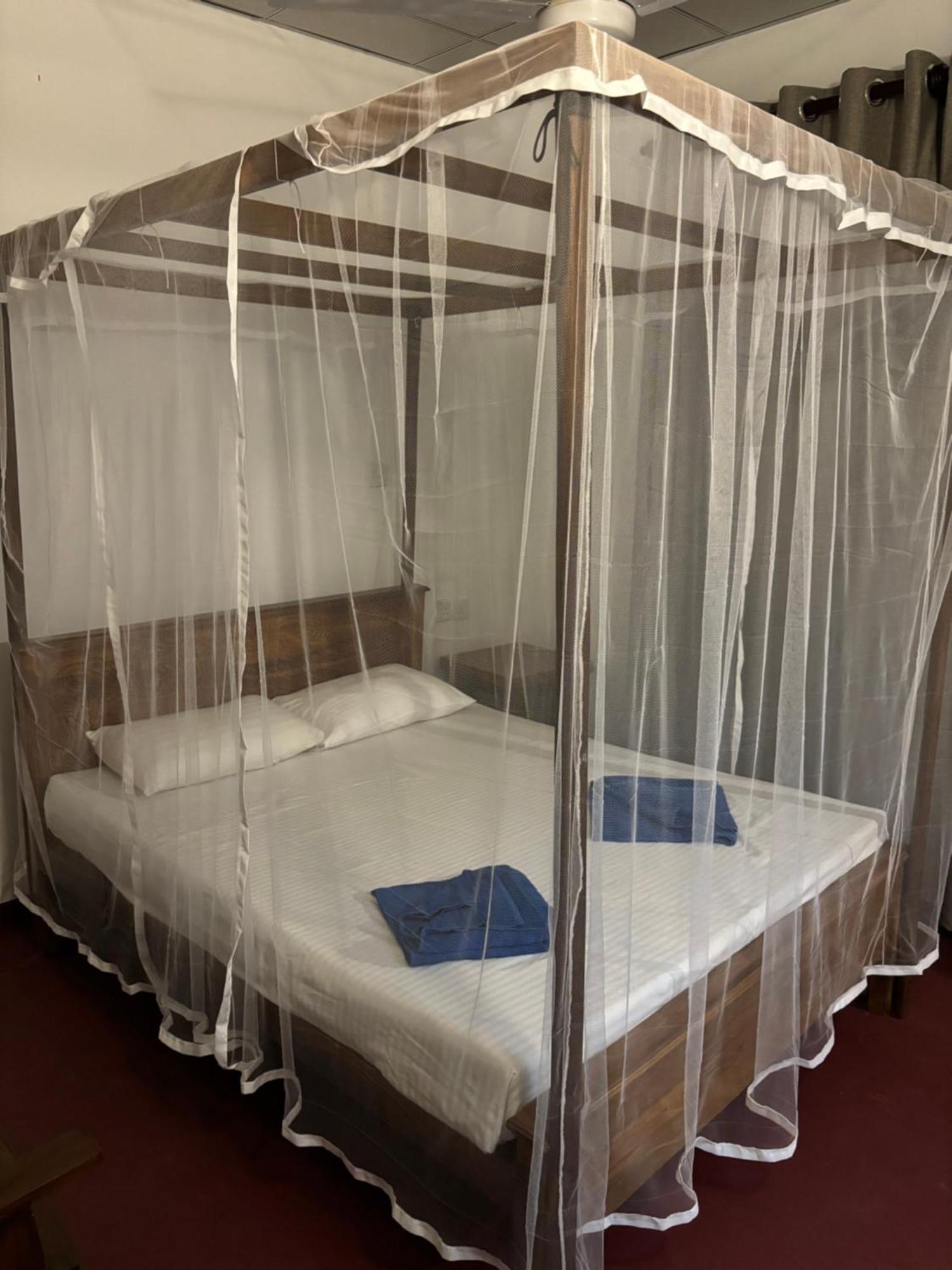 Ima House Bed & Breakfast Dikwella Ngoại thất bức ảnh