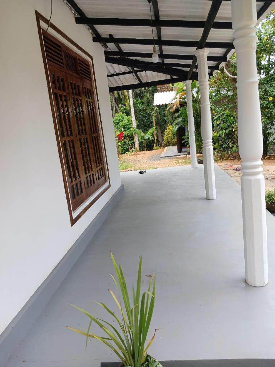Ima House Bed & Breakfast Dikwella Ngoại thất bức ảnh