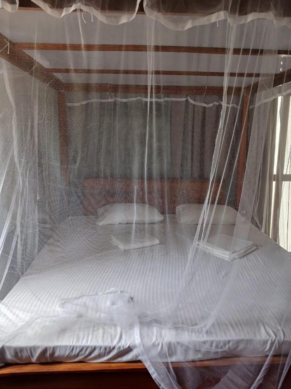 Ima House Bed & Breakfast Dikwella Ngoại thất bức ảnh
